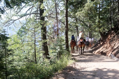 Grand Canyon, North Rim, North Kaibab Trail