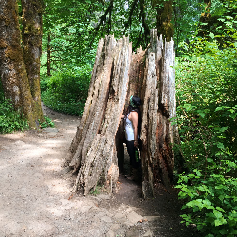 Silver Falls, South Falls, Oregon