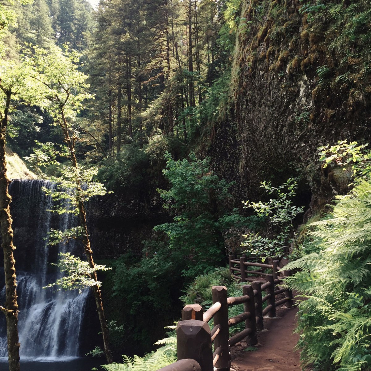 Silver Falls, Lower South Falls, Oregon