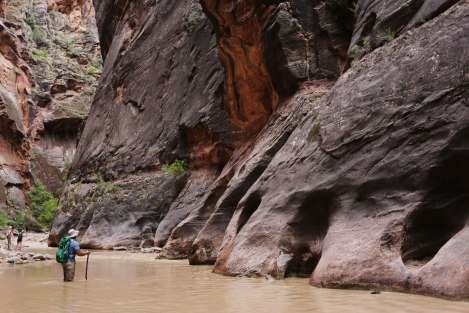 Zion-National-Park-11