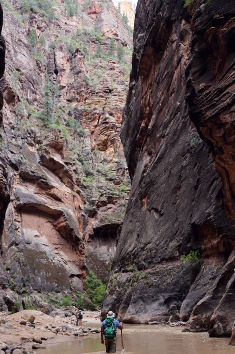The Narrows, Zion National Park, Utah