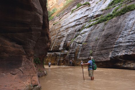 The Narrows, Zion National Park, Utah