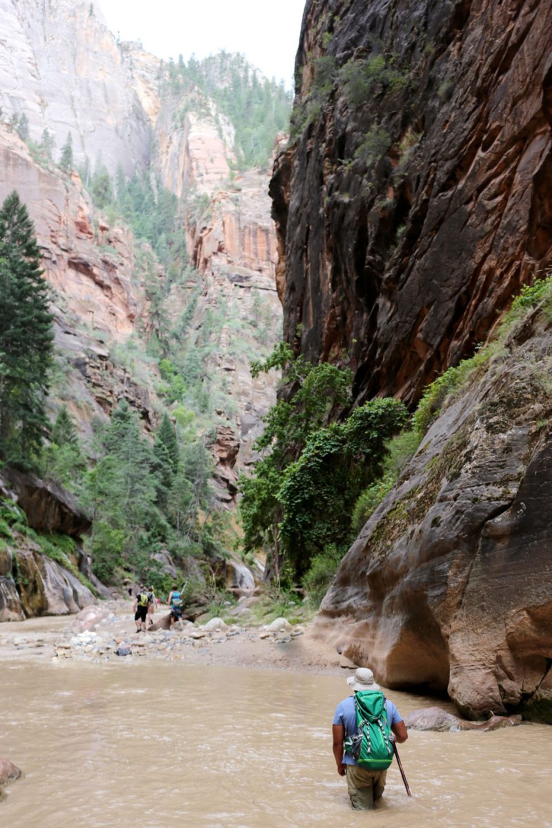 The Narrows, Zion National Park, Utah