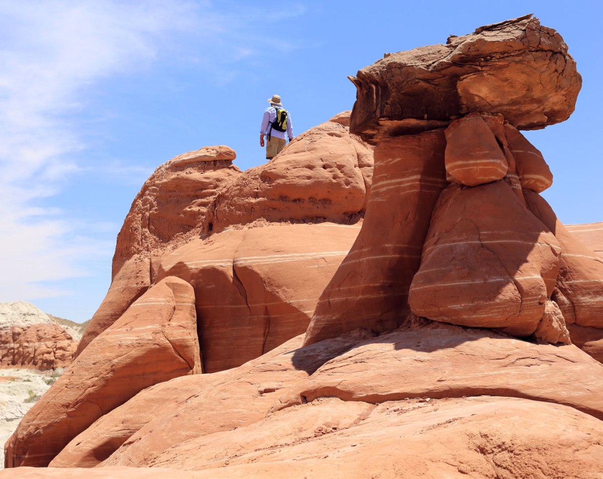 Toadstools Grand Staircase Escalante