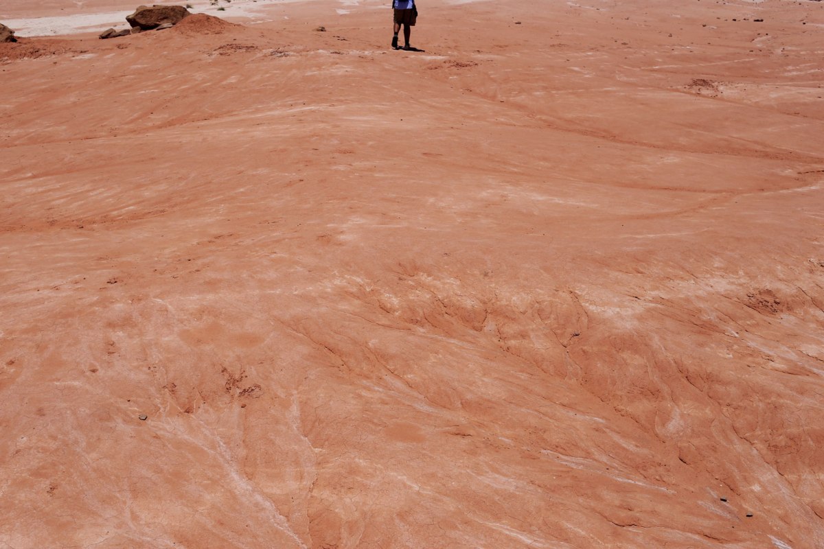 Toadstools Grand Staircase Escalante