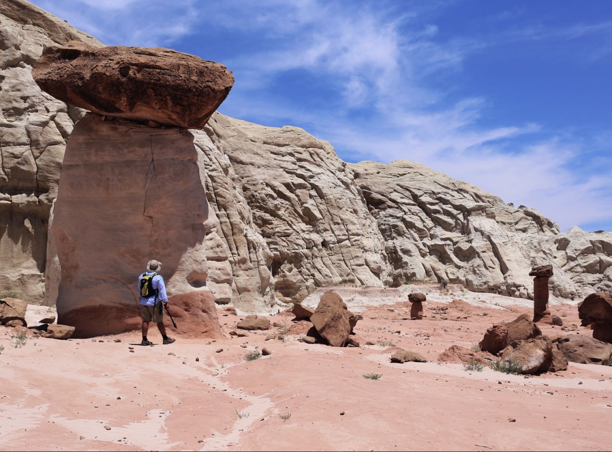 Toadstools Grand Staircase Escalante