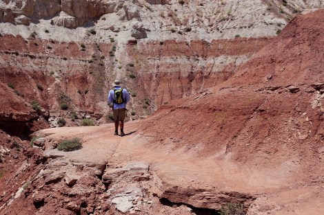 Toadstools Grand Staircase Escalante