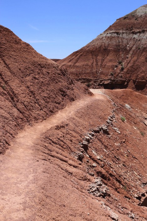 Toadstools Grand Staircase Escalante