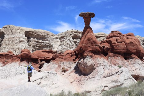Toadstools Grand Staircase Escalante