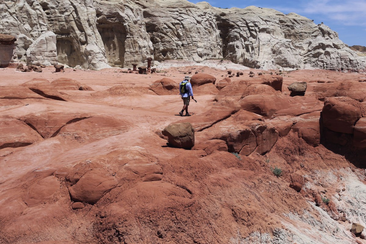 Toadstools Grand Staircase Escalante