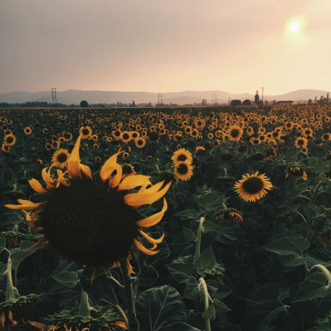 Deer Park, Spokane, WA