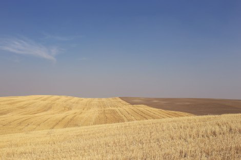 Palouse, WA