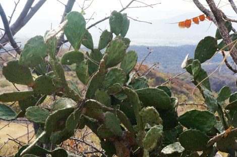 Xochicalco, Morelos, Mexico