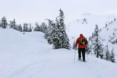 Artist Point, Mt. Baker, PNW, Snowshoeing