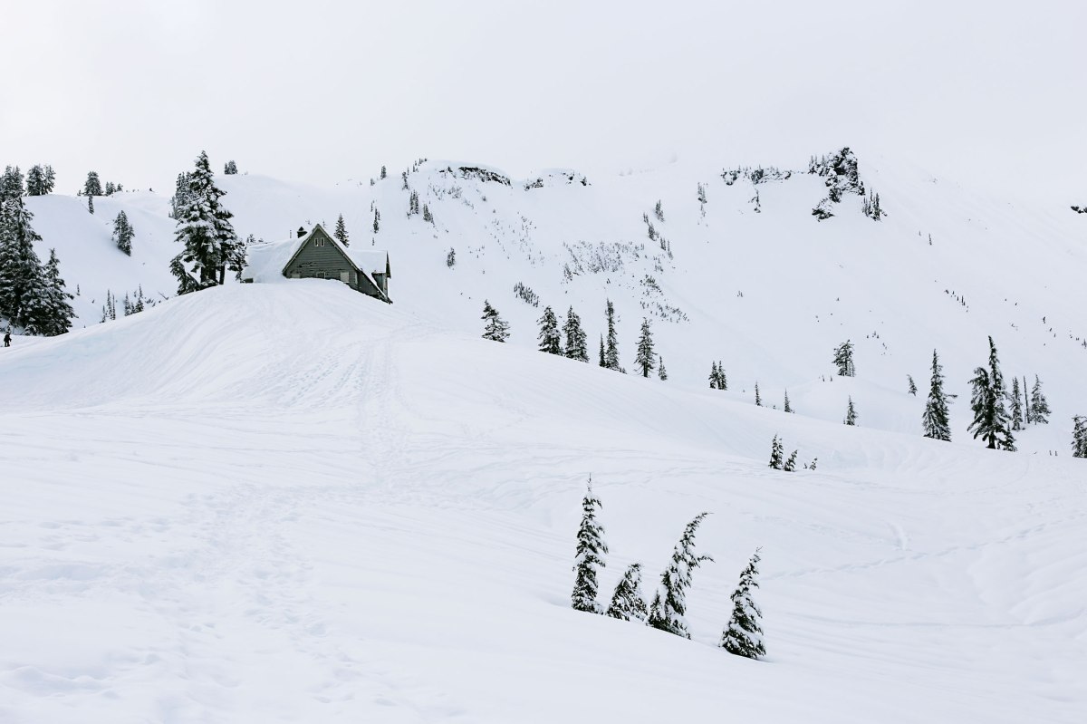 Artist Point, Mt. Baker, PNW, Snowshoeing