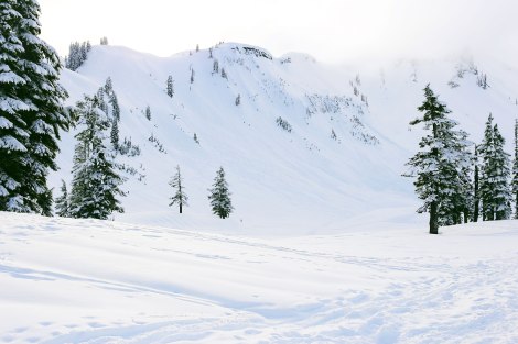 Artist Point, Mt. Baker, PNW, Snowshoeing 