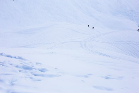 Artist Point, Mt. Baker, PNW, Snowshoeing 