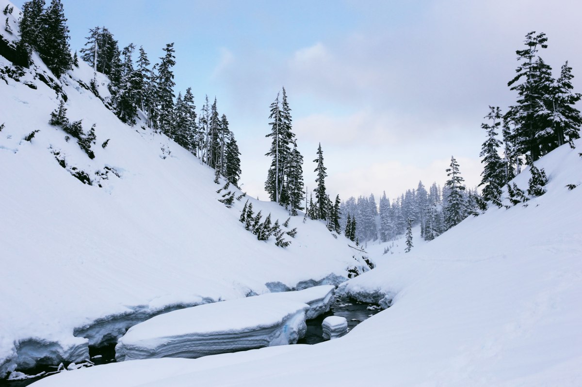 Artist Point, Mt. Baker, PNW, Snowshoeing