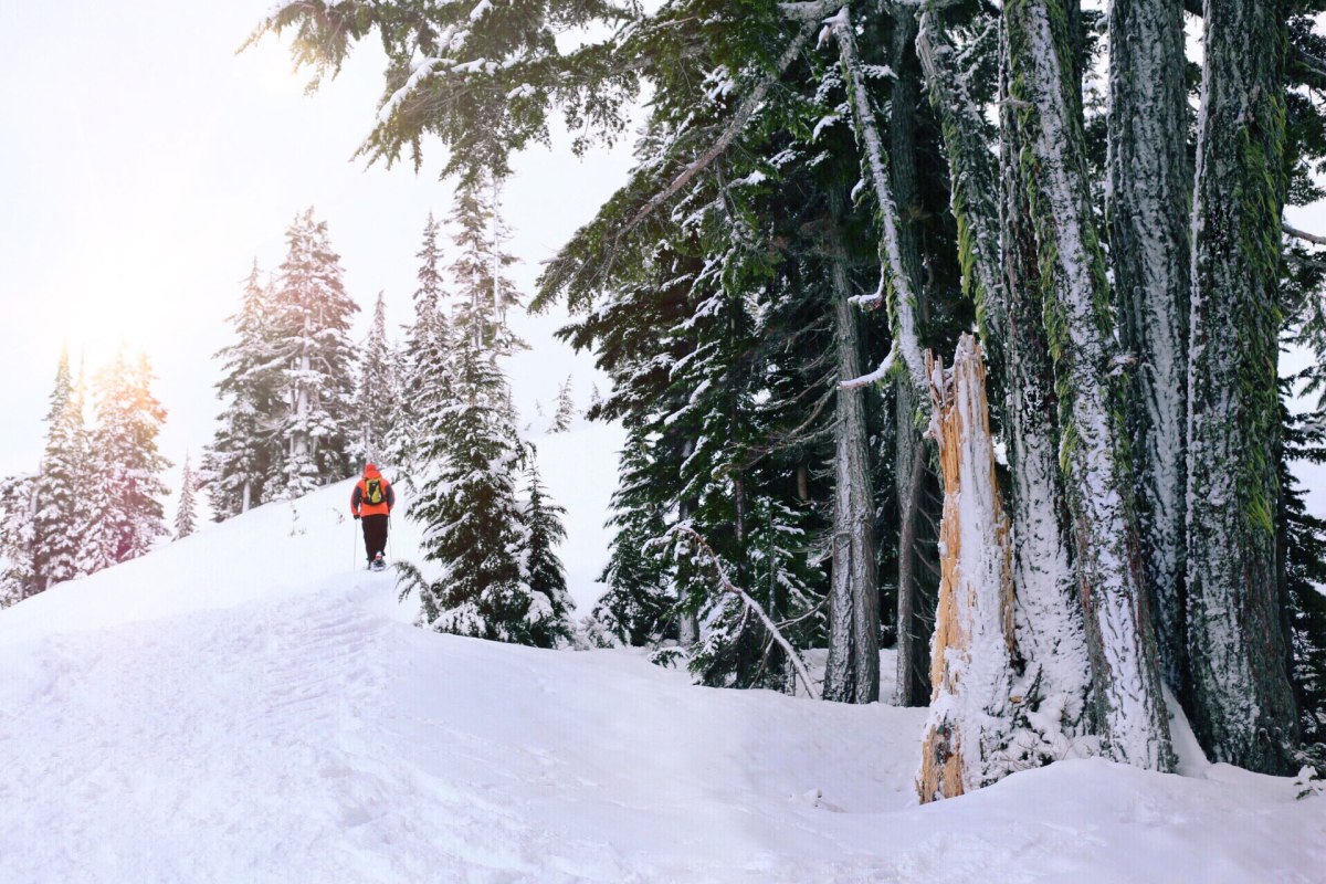 Artist Point, Mt. Baker, PNW, Snowshoeing