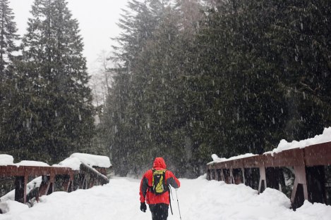 Franklin Falls, WA, winter, PNW