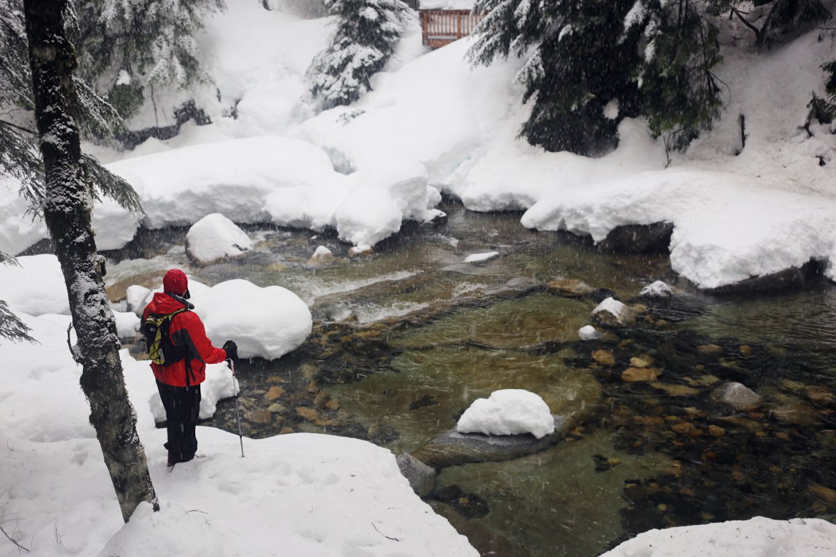 Franklin Falls, WA, winter, PNW