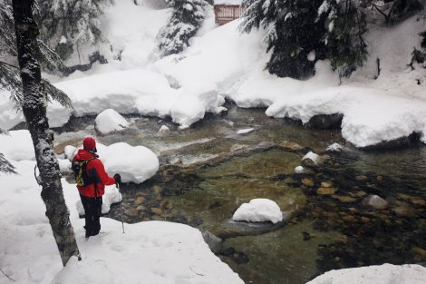 Franklin Falls, WA, winter, PNW
