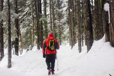 Franklin Falls, WA, winter, PNW