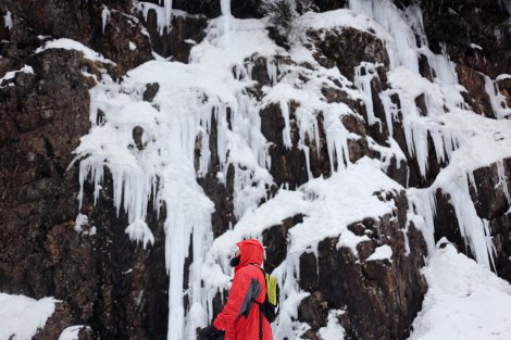 Franklin Falls, WA, winter, PNW
