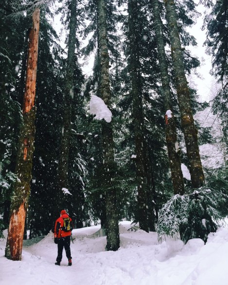 Franklin Falls, WA, winter, PNW