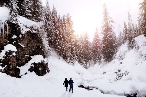 Franklin Falls, WA, winter, PNW