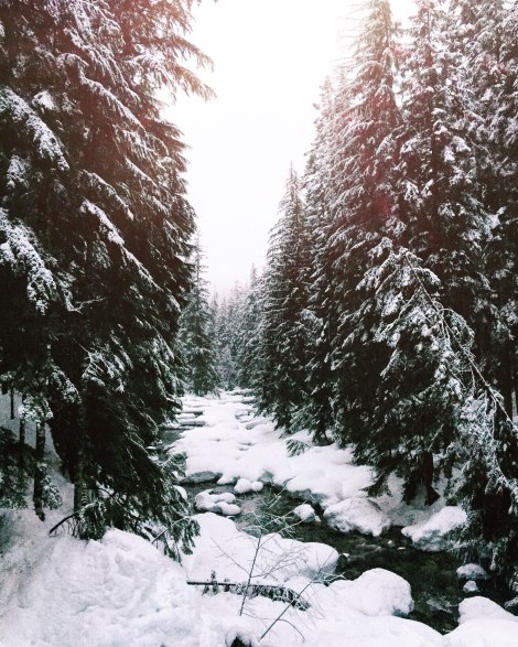 Franklin Falls, WA, winter, PNW