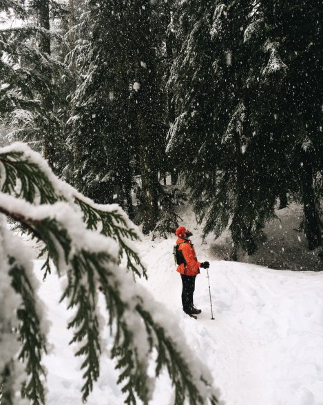 Franklin Falls, WA, winter, PNW