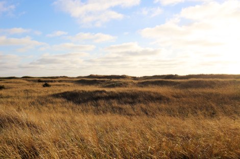 Sou'Wester, Seaview, PNW