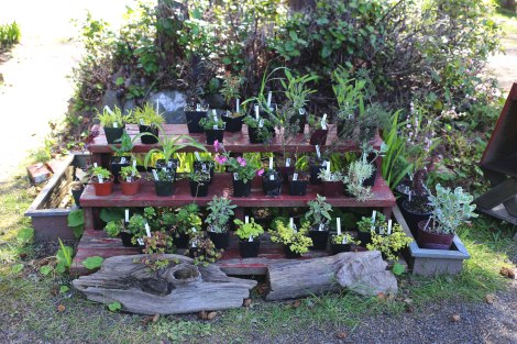 Sou'Wester, Seaview, PNW