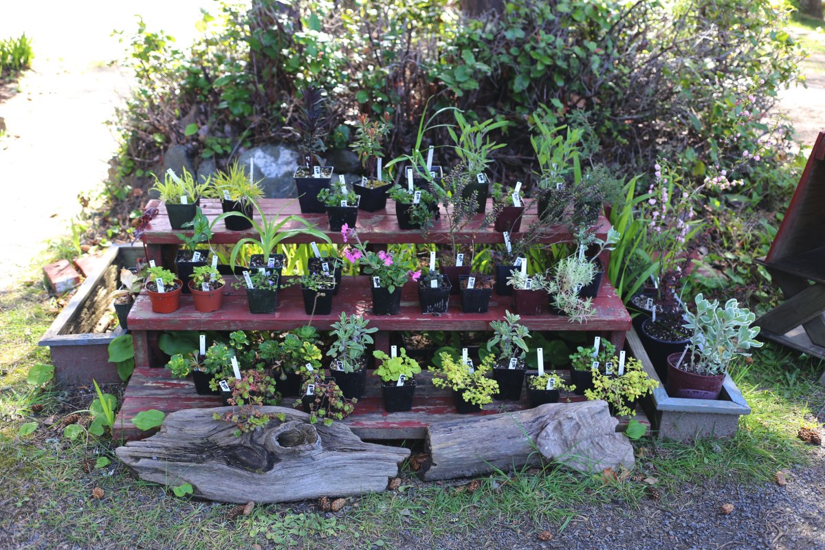 Sou'Wester, Seaview, PNW