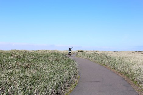 Sou'Wester, Seaview, PNW