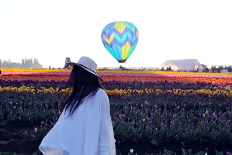 Wooden Shoe Tulip Festival, Oregon, PNW