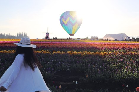 Wooden Shoe Tulip Festival, Oregon, PNW