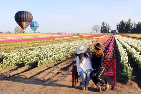 Wooden Shoe Tulip Festival, Oregon, PNW