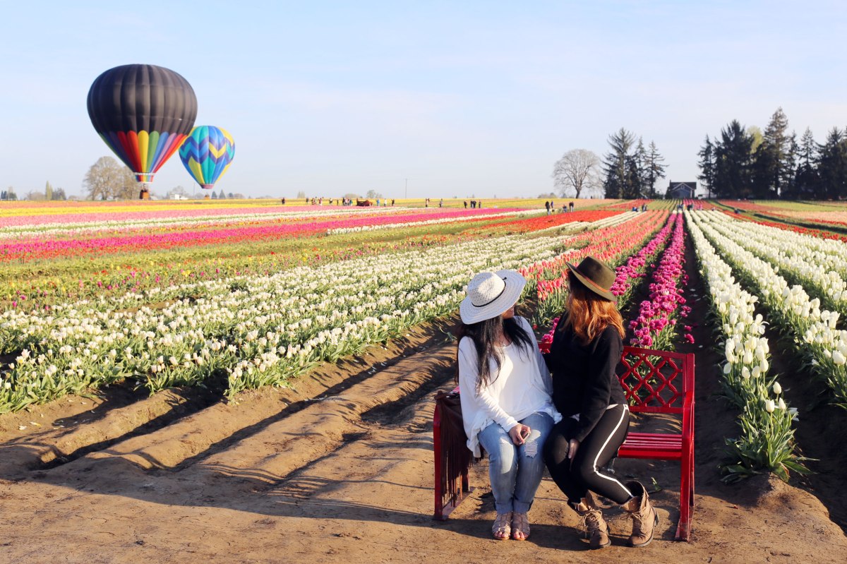 Wooden Shoe Tulip Festival, Oregon, PNW