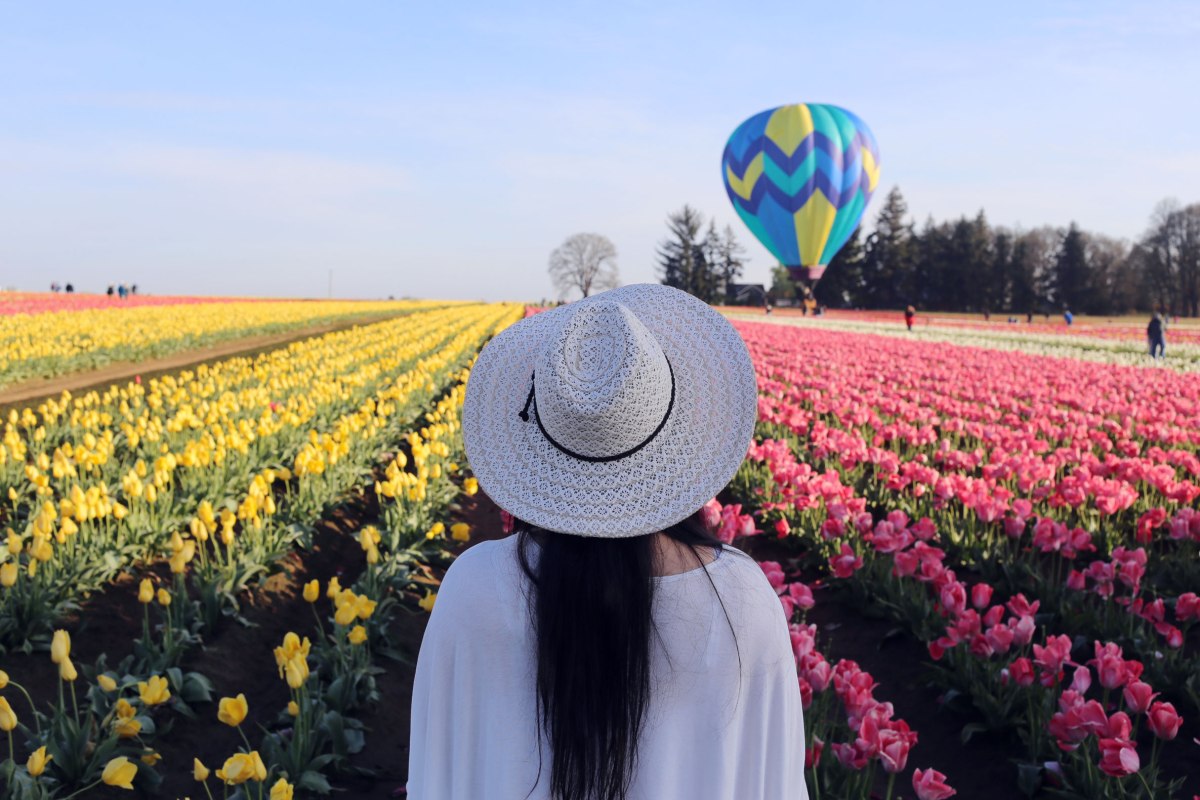 Wooden Shoe Tulip Festival, Oregon, PNW