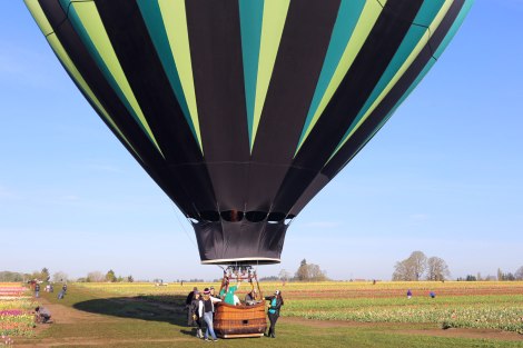 Wooden Shoe Tulip Festival, Oregon, PNW