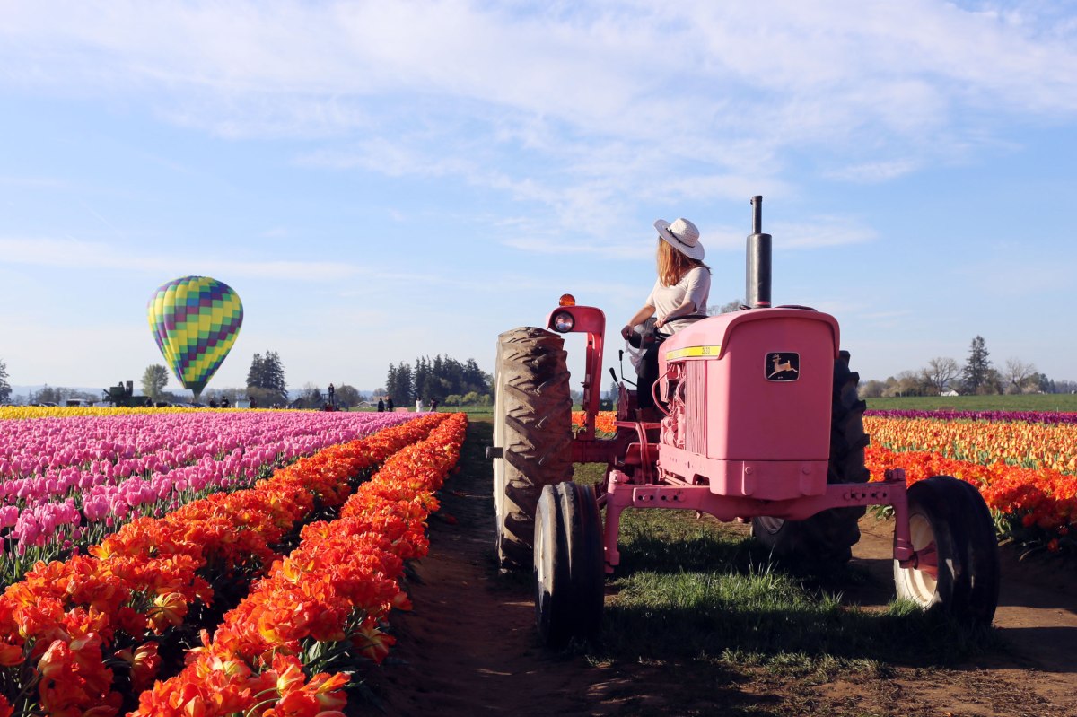 Wooden Shoe Tulip Festival, Oregon, PNW