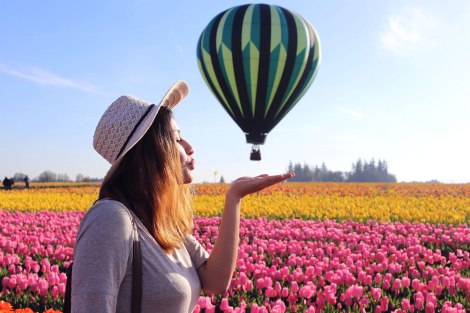 Wooden Shoe Tulip Festival, Oregon, PNW