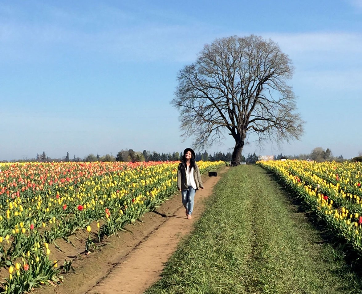 Wooden Shoe Tulip Festival, Oregon, PNW