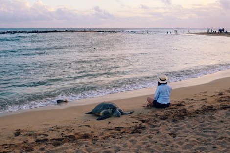 Poipu Beach, Kauai, Hawaii