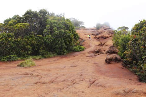Pu‘u O Kila Lookout, Kokee State Park, Kauai, Hawaii
