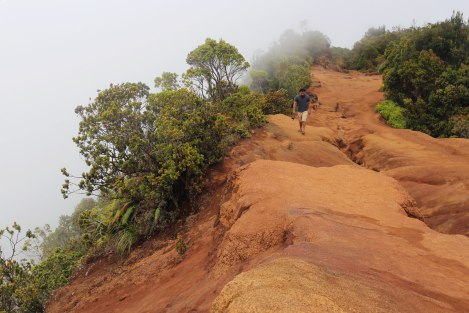 Pu‘u O Kila Lookout, Kokee State Park, Kauai, Hawaii