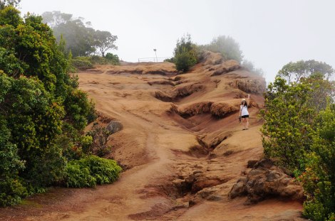 Pu‘u O Kila Lookout, Kokee State Park, Kauai, Hawaii