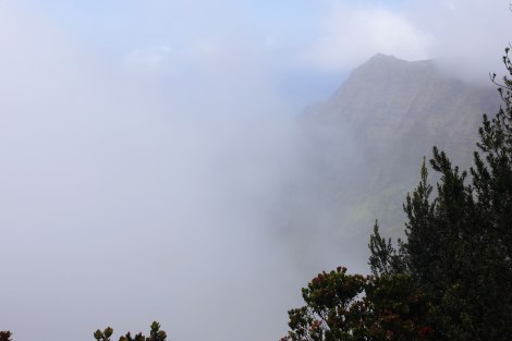 Pu‘u O Kila Lookout, Kokee State Park, Kauai, Hawaii